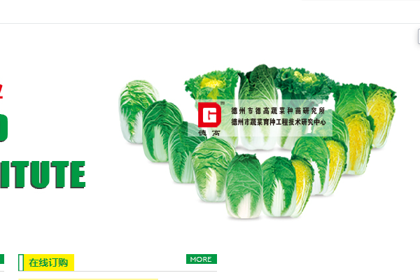 德高蔬菜種苗